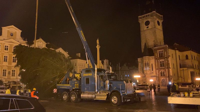 V Praze už stojí vánoční strom, s trhy se letos nepočítá